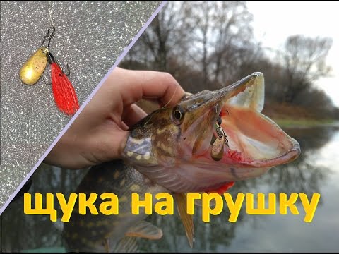 ловля рыбы на мандулу весной видео ловля рыбы на мандулу весной видео