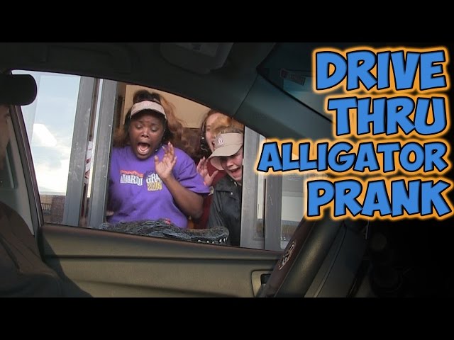 Drive Thru Alligator Prank - Video