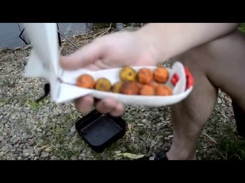 как ловят карпа в польше как ловят карпа в польше