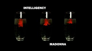 Madonna (Color'S Splash Edition)