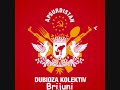 dubioza