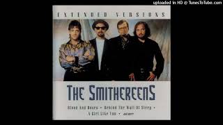 Watch Smithereens Love Is Gone video