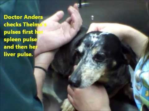 Thelma S Story Thelma S Story
