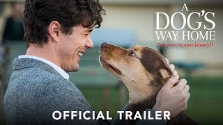 A DOG'S WAY HOME -  Trailer (HD)