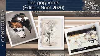 • CONCOURS • Les gagnants (Édition Noël 2020)
