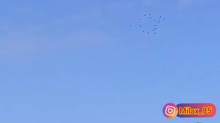 Yaz Gəldi Kəndimizə Durna Qatari Gəldi