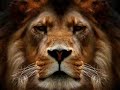 Tribulation 7 Seals 7 Trumpets 7 Vials Judgement