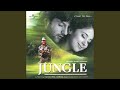 Patli Kamar (Jungle / Soundtrack Version)