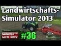 Landwirtschafts Simulator 2013 #36 Mist durch Einstreuen erzeugen deutsch HD LS13