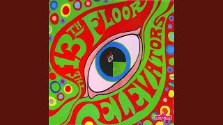 Watch 13th Floor Elevators Before You Accuse Me  Live video