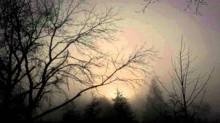 Watch 1000 Funerals Moons Heart video