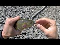 Fishing Yellowstone and Grand Teton National Park Wyoming- Lures and Tips