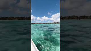 Can You Imagine A Better Way To Explore Trou Aux Biches, Mauritius