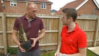 1qSZNVR_w0s Video Image