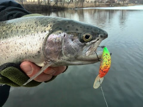 ловля форели по открытой воде ловля форели по открытой воде