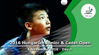 Молодежный Чемпионат Венгрии : Тампа-Бэй