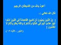 تصوير موبايل