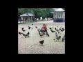 A Couple Things Video preview