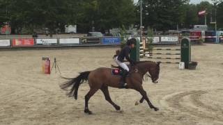 Espresso Vk Ustinov X Lamour Z, 2009 Csi Roosendaal 7Yo Cl