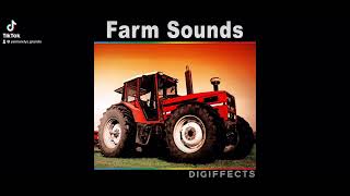 Sound Ideas, Bird, Rooster - Rooster Crows Two Times, Outdoors, Bird, Digiffects