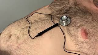 Asmr Male Heartbeat At Rest