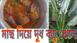 দধ মন কচ ডট দয মছর ঝলDhuudh Kochu Data & Fish Recipe