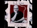 B.D. Lenz - "Juxtaposition"