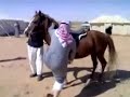 image Lucu Arab Gila Jatuh 2014 Lucu Arab Gila Bikin Ketawa Ngakak Terbaru 2014