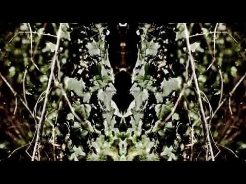 Piccolo Dio Video