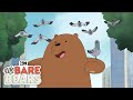 Pigeons | We Bare Bears | Cartoon Network