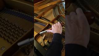 Tuning The Bluthner Aliquot String