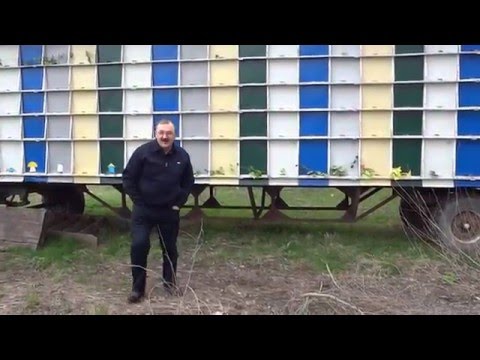 Пчелопавильон берендей Пчелопавильон берендей