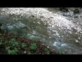 Cuha patak völgye - Vinye környéki szakasz - Bakony - Cuha Creek Hungary