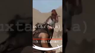 Muxtarnamə