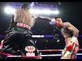 Terence Crawford KOs Jose Benavidez