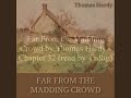 Far From the Madding Crowd by Thomas Hardy - Chapter 32/57 (read by Tadhg)