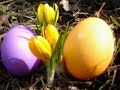 Ostara/Easter/Spring Equinox