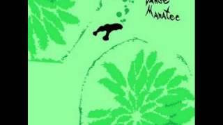 Watch Animal Collective Meet The Light Child video