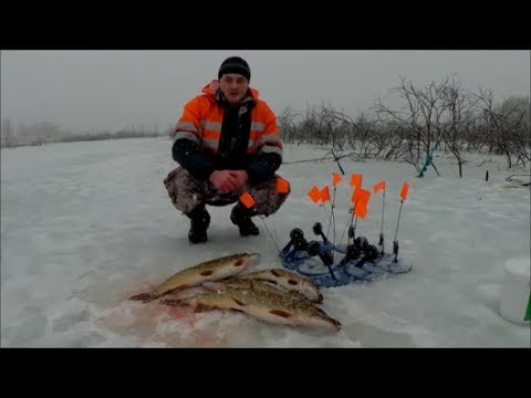 голец секреты ловли голец секреты ловли