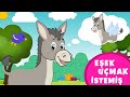 Eşek Uçmak İstemiş - Bebek Şarkıları Türkçe - Eşek Şarkısı - Çizgi Film