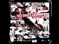 40 Watt Domain - Star Fish