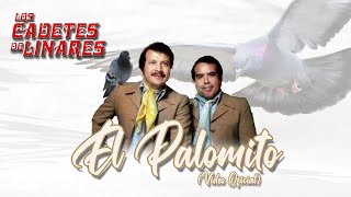 Watch Los Cadetes De Linares El Palomito video