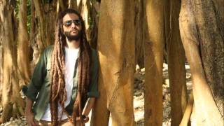 Watch Alborosie Likkle Africa video