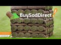 Sod Bozrah CT - Sod pricing and installation