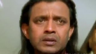 Video TIGR / KLASSIKA INDIYSKOGO KINO from ХУДОЖНИК СЕРДЕЦ, Rampur, India
