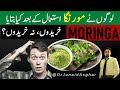 Moringa Powder | Honest Review | Urdu