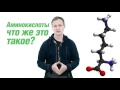 Секреты спортивного питания. (Владимир Молодов) Секреты спортивного питания. (Владимир Молодов)