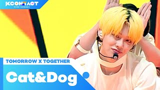 TOMORROW X TOGETHER (투모로우바이투게더) - Cat&Dog (English ver.) | KCON:TACT 2020 SUMMER