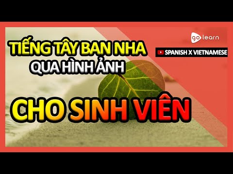 Học Tiếng Tây Ban Nha Qua Hình Ảnh |Từ Vựng Tiếng Tây Ban Nha Cho Sinh Viên | Golearn