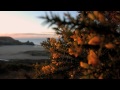 Gower